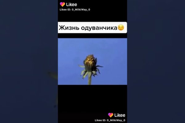 Kraken что это за сайт