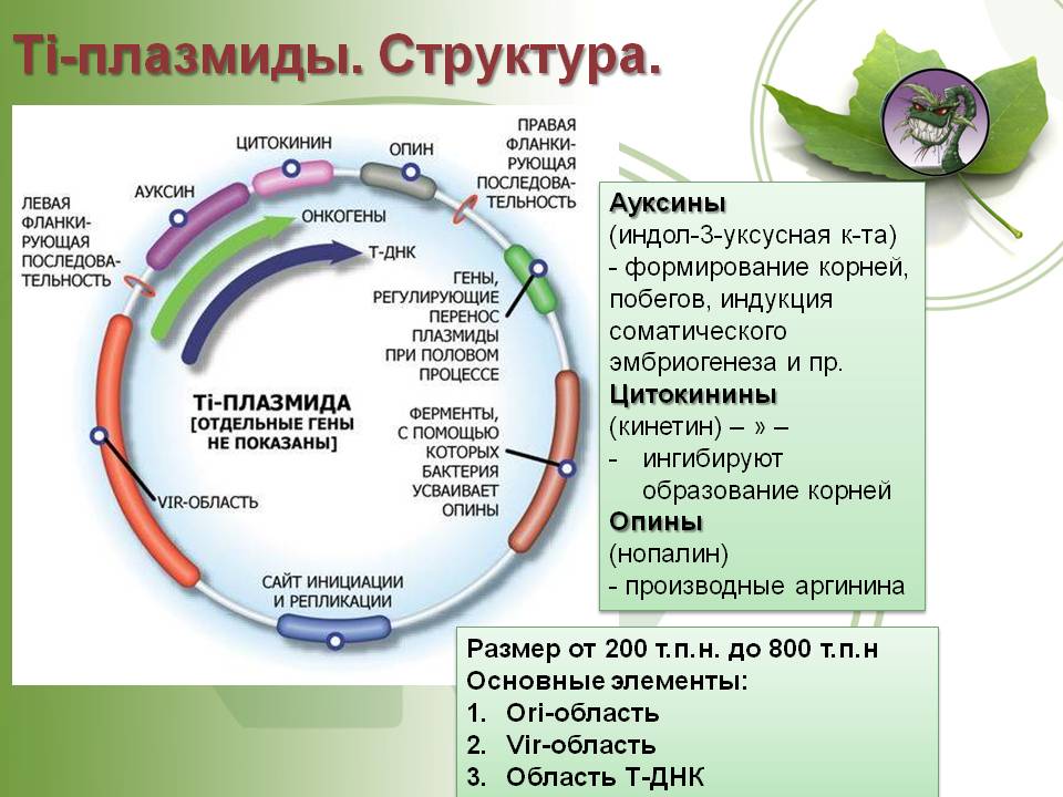 Кракен маркетплейс как зайти