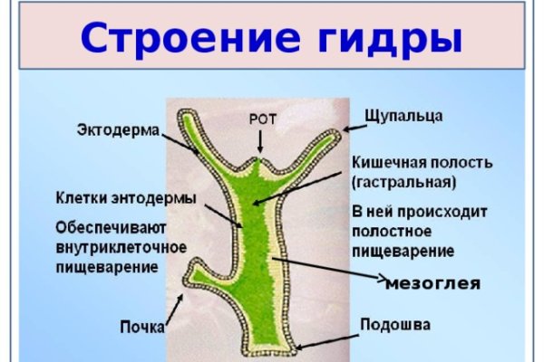 Кракен клирнет ссылка